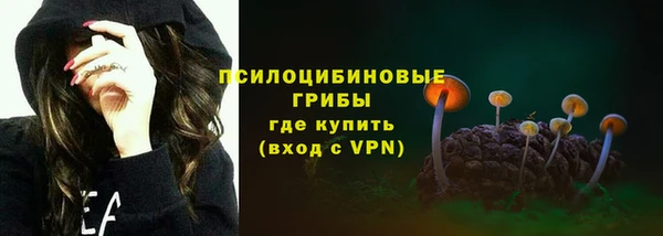 ГАЛЛЮЦИНОГЕННЫЕ ГРИБЫ Зеленодольск