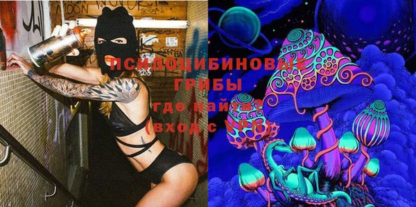 ГАЛЛЮЦИНОГЕННЫЕ ГРИБЫ Зеленодольск