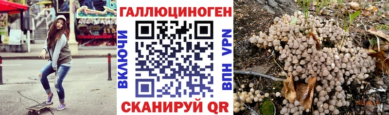 Купить закладки  Никольск  Галлюциногенные грибы прущие грибы 